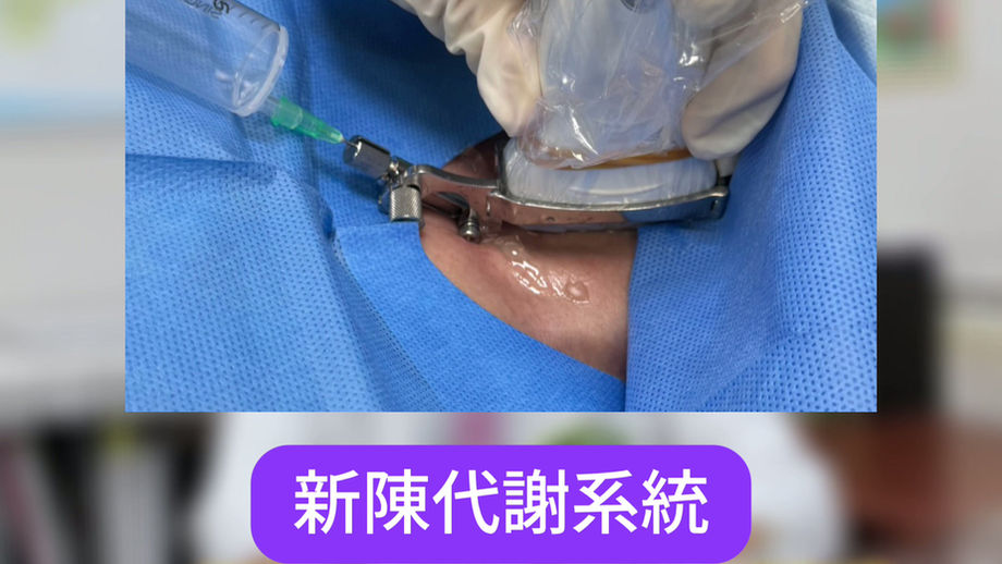從腸胃專科到全方位內科，仁禾診所十年耕耘，專業守護民眾健康
